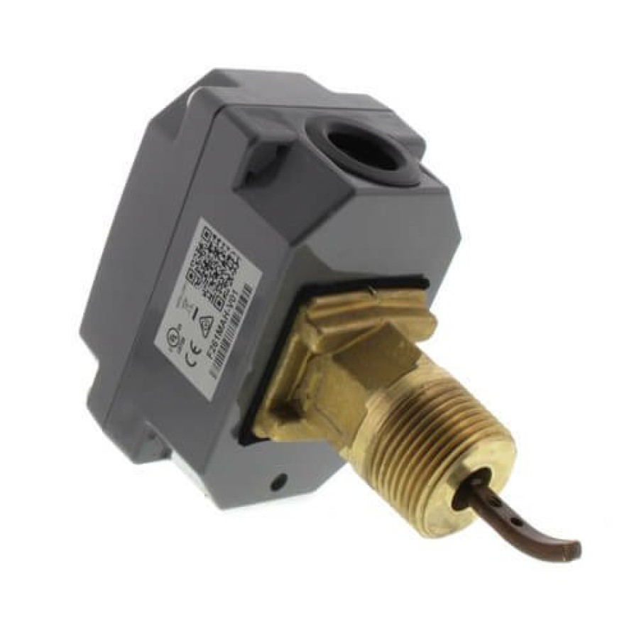 Heating Johnson Controls Flow Switches | 1" Npt Flow Switch (Ss Paddle)