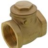 Valves Bluefin | 2" Threaded Swing Check Valve, Lead Free