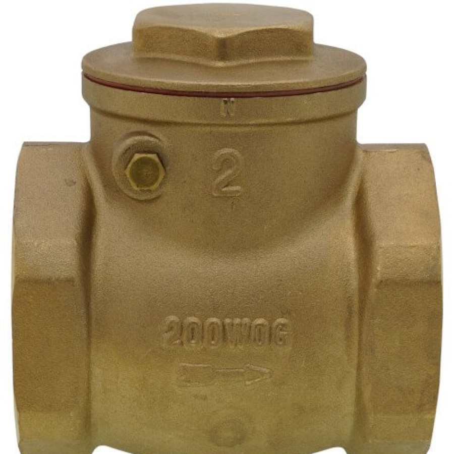 Valves Bluefin | 2" Threaded Swing Check Valve, Lead Free