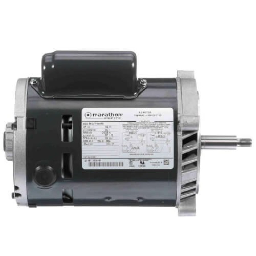 Hvac Marathon Motors Marathon Motors | Centrifugal Pump Motor - 1/3 Hp, 3600 Rpm, 1 Ph, Cw (115/230V)