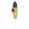 Heating Cash-Acme Temperature & Pressure Relief Valves | 1" Fvmx-4Ls Commercial T&P Relief Valve (Male Inlet)