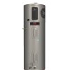 Plumbing Ruud Heat Pump Water Heaters | 50 Gal 4.5Kw Ef3.75 Professional Ultra Hybrid Electric Water Heater W/ Leakguard, 10 Year (240V)