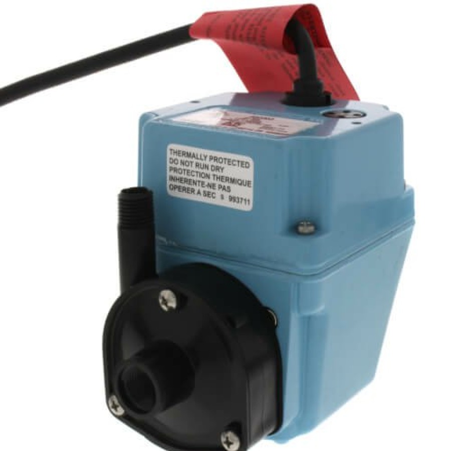 Plumbing Little Giant Industrial Pumps | 2E-38N, Manual Oil-Filled Small Submersible Pump, 1/40 Hp (115V)