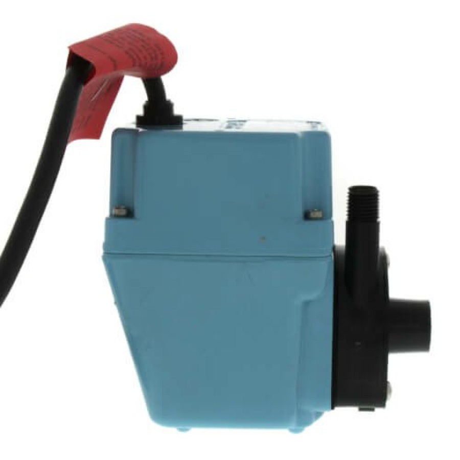 Plumbing Little Giant Industrial Pumps | 2E-38N, Manual Oil-Filled Small Submersible Pump, 1/40 Hp (115V)