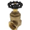 Valves Bluefin | 2" Threaded Gate Valve (Lead Free)