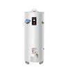 Plumbing Bradford White Residential Water Heaters | 75 Gallon - 76,000 Btu High Input Atmospheric Vent Energy Saver Residential Water Heater (Nat Gas)