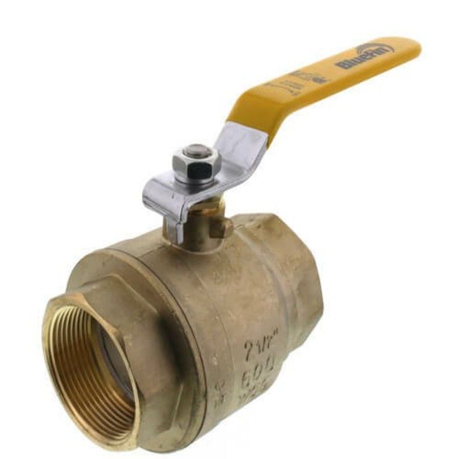 Valves Bluefin | 2-1/2" Full Port Threaded Ball Valve (Lead Free)