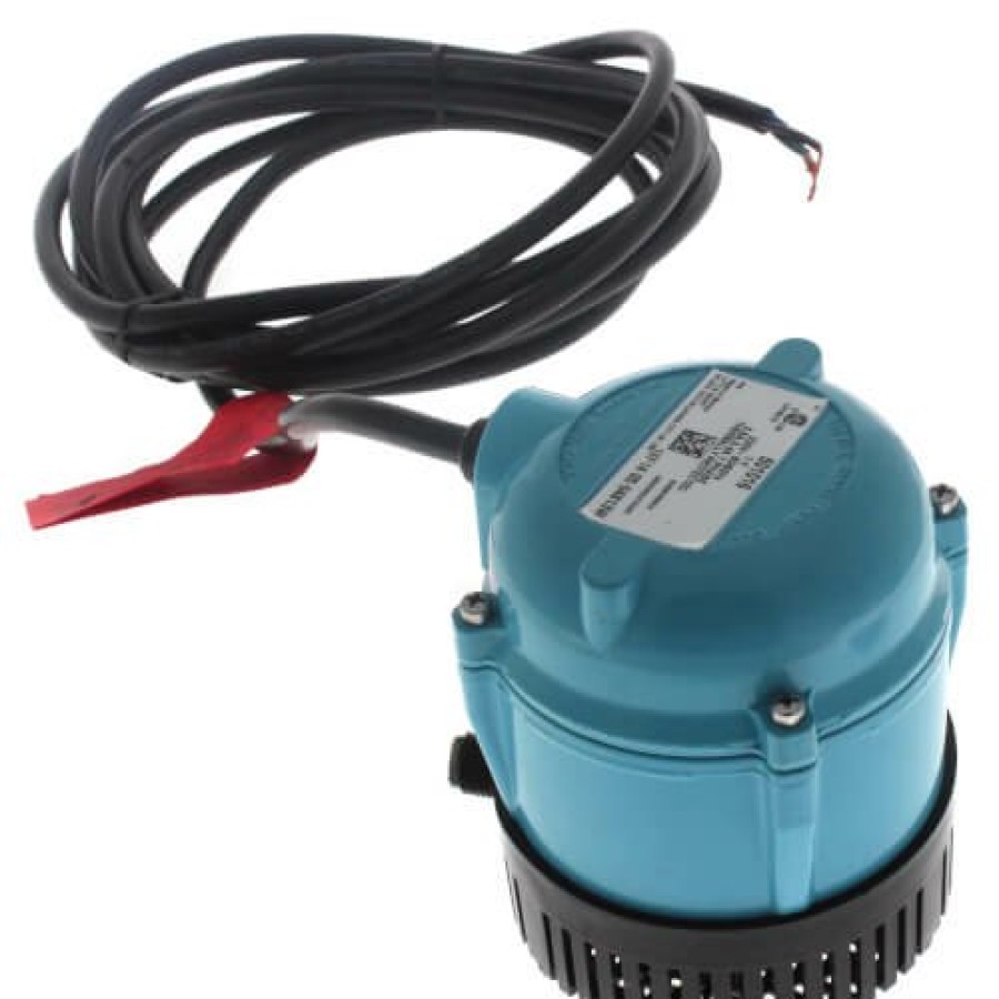 Plumbing Little Giant Industrial Pumps | 1-Y, Manual Oil-Filled Small Submersible Pump, 1/150 Hp (230V)