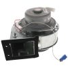 Plumbing Rinnai Tankless Replacement Parts | Fan Motor All Assembly For Rl75/94E (Vc)