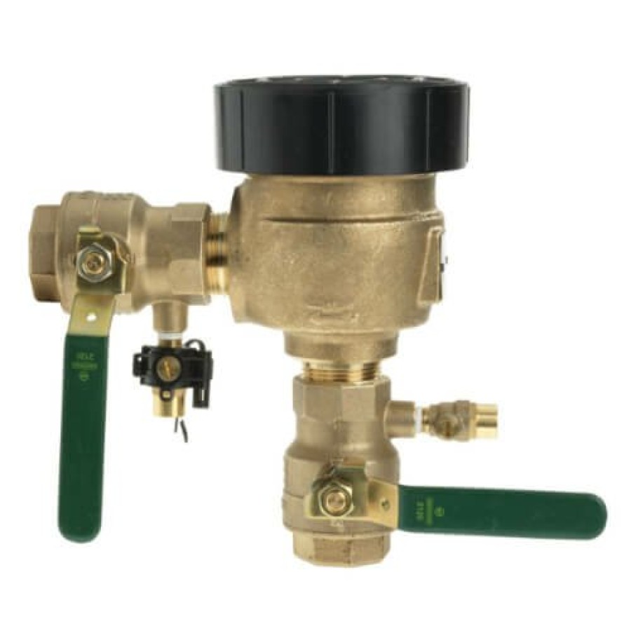 Plumbing Watts Vacuum Breakers | 1-1/4" 800M4-Qt-Fz Anti-Siphon Pressure Vacuum Breaker W/ Freeze Sensor Connectivity