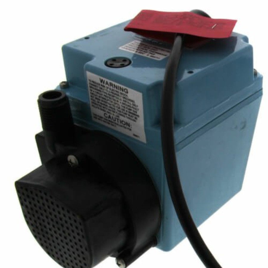 Plumbing Little Giant Industrial Pumps | 3E-12N, Manual Oil-Filled Small Submersible Pump, 1/15 Hp (115V)