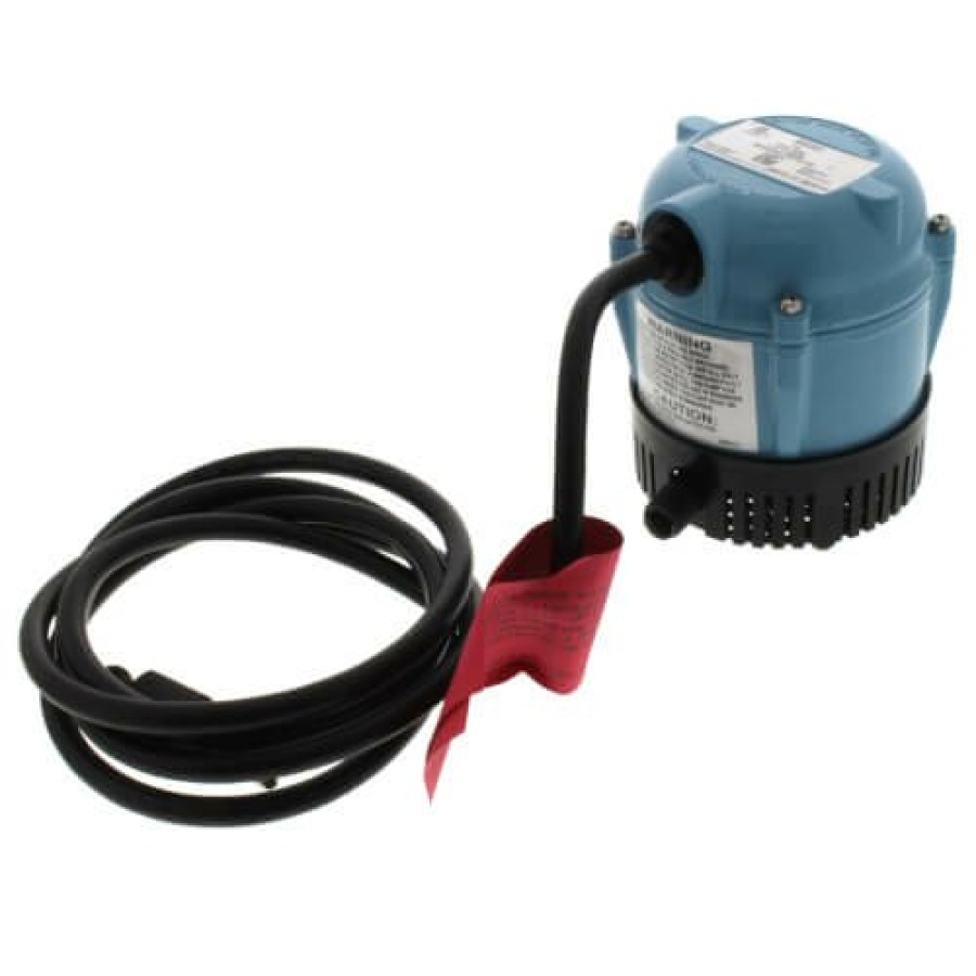 Plumbing Little Giant Industrial Pumps | 1-A, Manual Oil-Filled Small Submersible Pump, 1/200 Hp (115V)