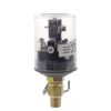 Pex Axiom Glycol Feeders | Adjustable Pressure Switch