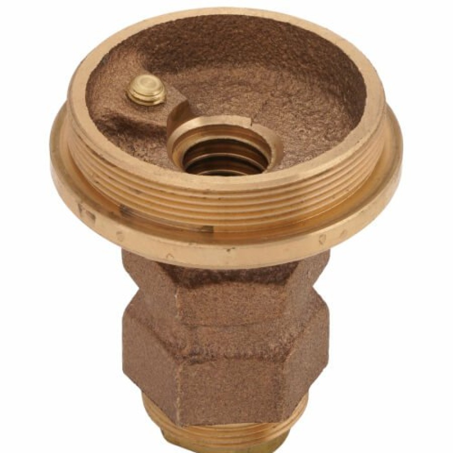 Plumbing Symmons Symmons Parts | Safetymix Cap