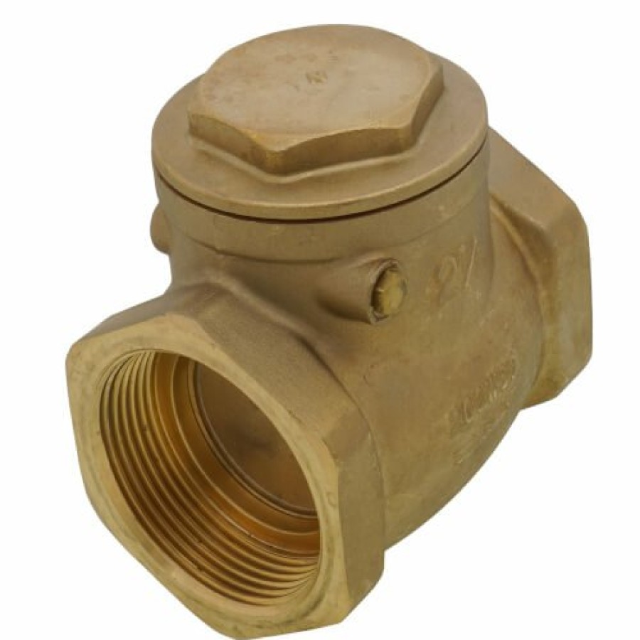 Valves Bluefin | 2-1/2" Threaded Swing Check Valve (Lead Free)