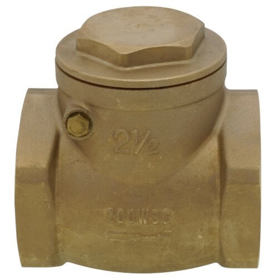 Valves Bluefin | 2-1/2" Threaded Swing Check Valve (Lead Free)