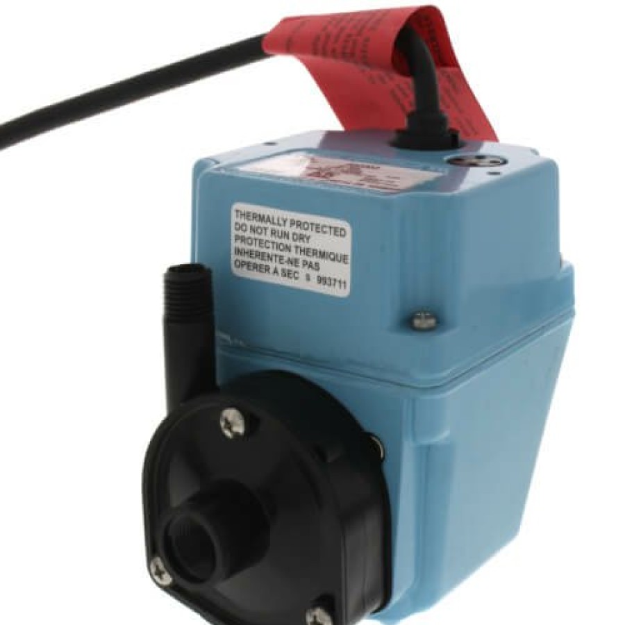 Plumbing Little Giant Industrial Pumps | 2E-38Nt, Manual Oil-Filled Small Submersible Pump W/ 10' Cord, 1/40 Hp (115V)