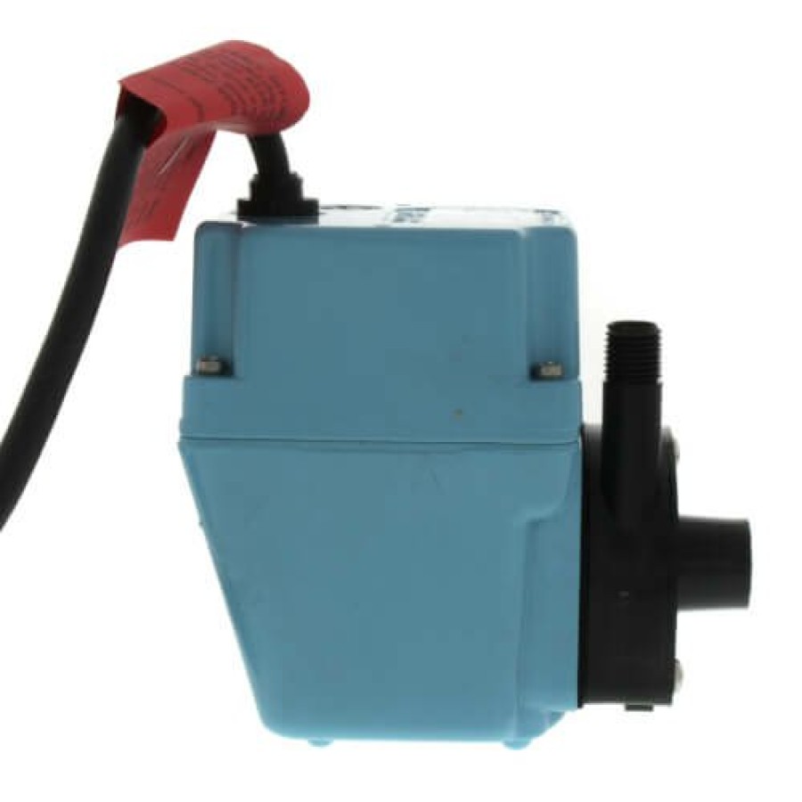 Plumbing Little Giant Industrial Pumps | 2E-38Nt, Manual Oil-Filled Small Submersible Pump W/ 10' Cord, 1/40 Hp (115V)